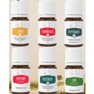 Young Living Cinnamon Bark Flavoring, Clove, Fennel, Ginger, Grapefruit, Lemon, Lime, Black Pepper +