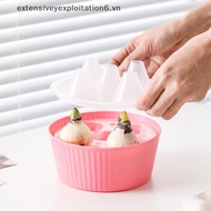 # exten # Hyacinth Seed Hydroponic 3/5Holes Pots For Plants Soilless Plant Pot Lazy Hydroponic Flowe