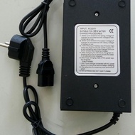 Selis 36V 12AH Charger