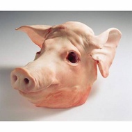UNTUK ANDA KEPALA BABI MENTAH UTUH SEGAR / FRESH PIG HEAD (DAGING BABI FRESH) SALE