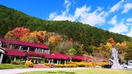 【週二出發】Together一起旅行．武陵農場森情漫漫．漫遊福壽山農場．住全新武陵富野三日（一人成行）