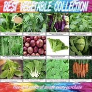 Vegetable collection high germination OKRA SITAW PECHAY ARUGULA CABBAGE CARROTS SPINACH BROCCOLi