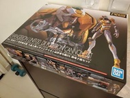 RG 零號機 DX eva 00 陽電子砲set 新世紀福音戰士