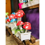 Cendawan Simen Fero Bersaiz 20cm tinggi (+-)2-3 Kuntum Cendawan.