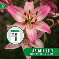 Resep AB Mix Lily Formula Racikan Nutrisi Bunga Lily