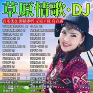 48 Hours Shipping Ready Stock Classic Prairie DJ Song DJ Highland Love Song DJ Prairie Golden Song D