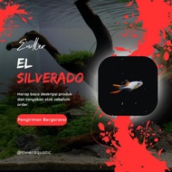 Endler Mini Guppy El Silverado