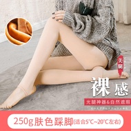 Quần Legging Cotton Dày Lót Lông Cừu Mùa Thu Đông Cho Nữ Quần Legging Cotton Giữ Nhiệt Độ Quần Leggi