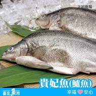 【臺北魚市】 貴妃魚500g*5包