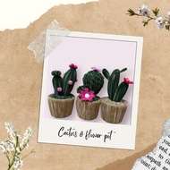 Fuzzy wire big cactus or flower pot or flower basket for gift souvenir