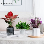 NONEDYODYE9I Hydroponic Plants Pot, Plastic Self Watering Flowerpot, Removable Office Bonsai Decor