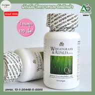 ผักเม็ด Wheatgrass & Alfalfa Plus ผักอัดเม็ด อัลฟัลฟ่า สูตรดั้งเดิม ของแท้ อาหารเสริมเพื่อสุขภาพ 120