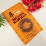 Ruduraksha Water Beads - Ten 5 Face Rudraksha for Healing