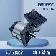 SDH Shanghai Volkswagen Hydraulic Gear Pump CBTt-F306 310 314 316 320 325F3P7 304F