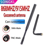 915MHz LORA antena NB-IoT 840-960MHz/868MHz 900MHz902-928MHz penghantaran graf penghantaran data ant