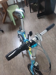 Trinx Folding Bike
