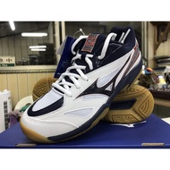 990 [YVM Badminton] Mizuno Professional Badminton Shoes Gate Sky Price 1980 71GA174016