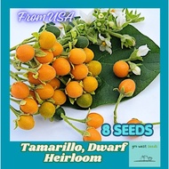 Rare Seed - Tamarillo, Dwarf (Heirloom)