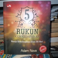 5 ADVANCED PILLARS Towards Abundantness in 365 Days, Adam Nova