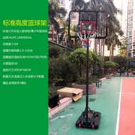 3.05m Standard Height Basketball Stand Adult Mobile Youth Liftable Basketball Stand