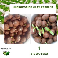 Hydroton Clay Pebbles (1kg)