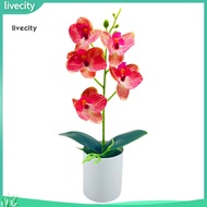 livecity|  5 Heads Faux Silk Flower No Withering