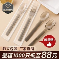 Thickened Disposable Spoon Individually Packaged Takeaway Dessert Cake Spoon Bibimbap Light Food Sal