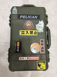 Pelican1510