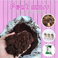 Peatmoss Imported Coarse Grade Peat moss Soil for Seedings Substrate Soil Medium Tanah gambut Semaia