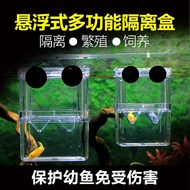 Guppy Isolation Box Incubator Box Fish Tank Breeding Box Guppy Breeding Box Acrylic Incubator Large 