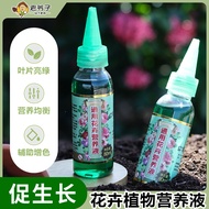 Old Man Concentrated Plant Nutrient Solution Household Gardening Plant Flowering Foliage Spray Ferti