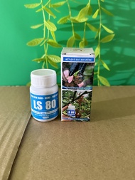 Keo kích chồi LS 80 bôi ở đâu là mọc chồi ở đó dành cho các loại cây cảnh bonsai