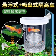 Kotak pengasingan pembiakan ikan guppy, jaring pemisah anak ikan dalam akuarium, inkubator kelahiran