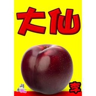 大仙李-李子乾-蜜李-李仔鹹 –【啟陞食品】–【湖廣藥材】-【火速出貨】迪化街一段74號【02-25560870】