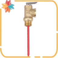 WYA-20 99C 102PSI 210F WYA-20 0.7Mpa to Valve 3/4 Inch Temperature and Pressure Relief Valve As Safe