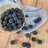 Heyprops Blueberry artificial photo props - plastic fruit photo props
