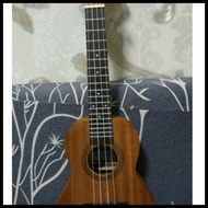 Ukulele 23" Type Concert Brand Grande (Best Product. Best Price)