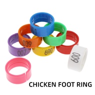 100Pcs Chicken Leg Band 1.6/1.8cm Poultry Foot Rings for Chicken Gamefowl Duck Hens
