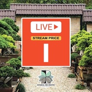 B1 BMC Bonsai additional purchase link PRICE RM100 ABOVE LIVE ONLY (BONSAI)