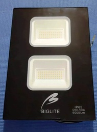 Biglite Flood Light GH03-100W DL Modern/Contemporary LED Lighting