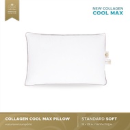 Luxury 6 Star Hotel Pillow Collagen Standard Soft
