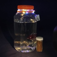 Glow &amp; Go Betta Jar Set = LED Lit Betta Jar + FREE Live Betta Fish + Fish Pellet Feed