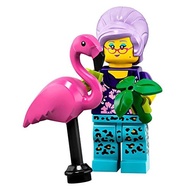 71025 -12 LEGO Minifigure Series 19 - Gardener (MISP)