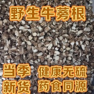 Burdock Root Authentic Burdock Root Authentic Golden Burdock Tea Premium Fresh Burdock Large Selecti