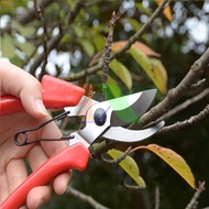 Pruning force scissors, bonsai pruning pliers, branch cutting scissors - High quality bonsai pruning