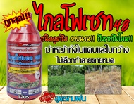 ( 1 ลิตร ) ไกล โฟ เซต48 ไกโฟเซต 48  สารกำจัดวัชพืช ประเภทดูดซึม  ฆ่าหญ้า ตายนาน กำจัดวัชพืช ไกลโฟเชต