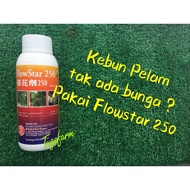 Original FlowStar 250 / Paclobutrazol 25% / Penggalak Bunga Pelam / Hasil Harum manis