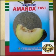 terbaru benih melon amanda tavi f1 original termurah best quality