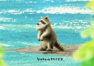 熊貓之穴 シャクレルプラネット4 Shakurel Planet 4 下巴兜兜 戽斗動物園P4 (浣熊)