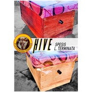 Hive bagi kelulut jenis Lepidotrigona Terminata menggunakan dovetail joint